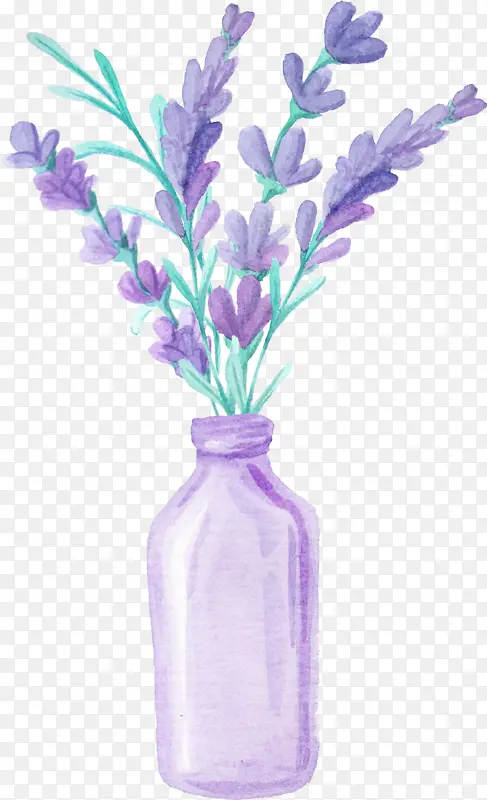 薰衣草 花朵 紫色