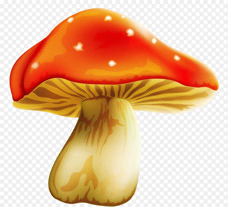 蘑菇 橙子 食用菌