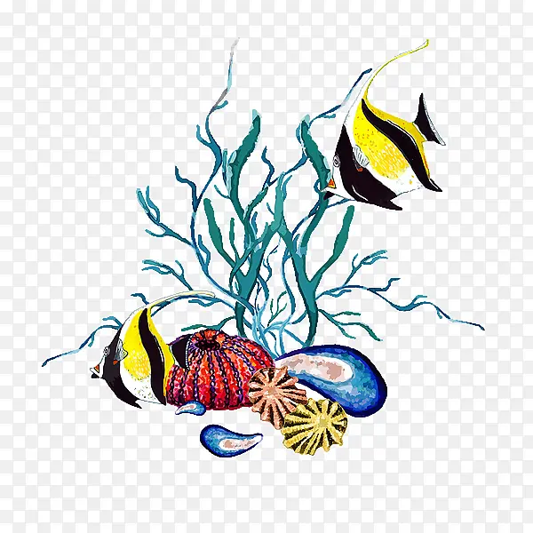 鱼 珊瑚礁鱼 蝴蝶鱼