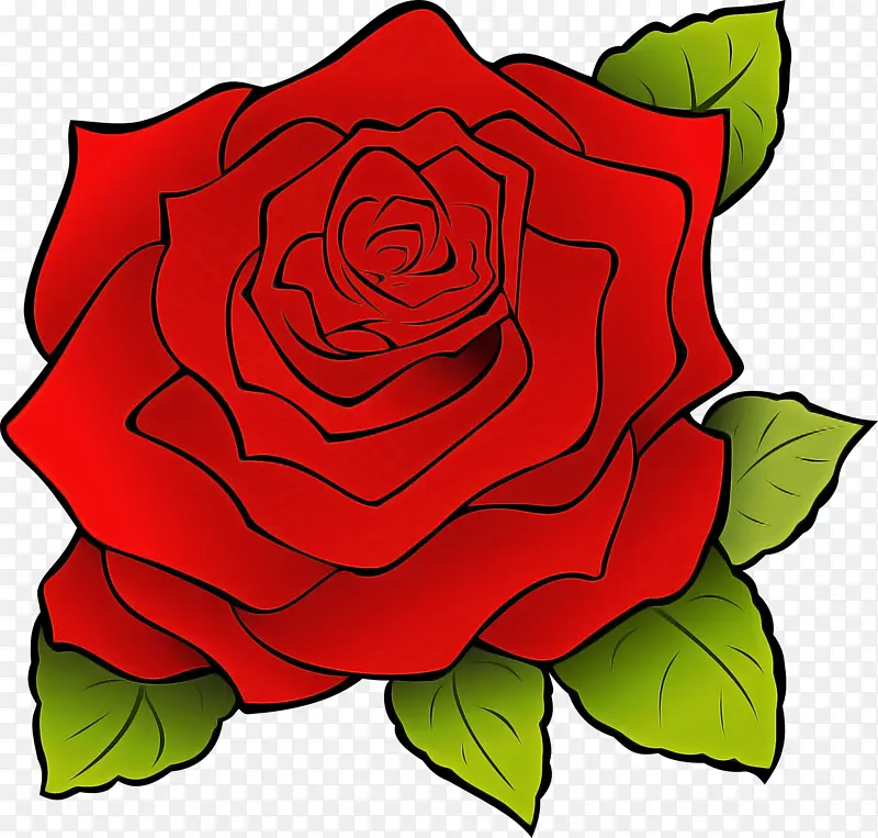 花园玫瑰 玫瑰 红色