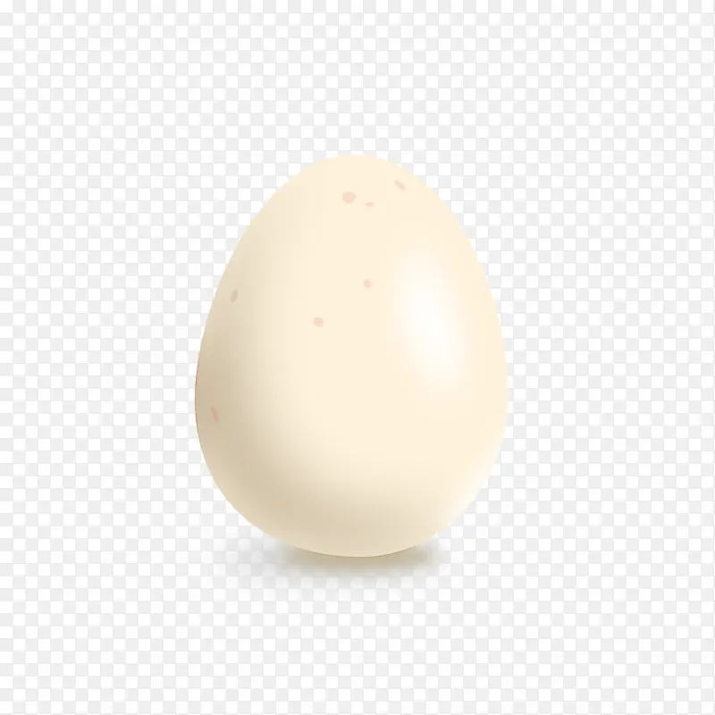 鸡蛋 米色 蛋清