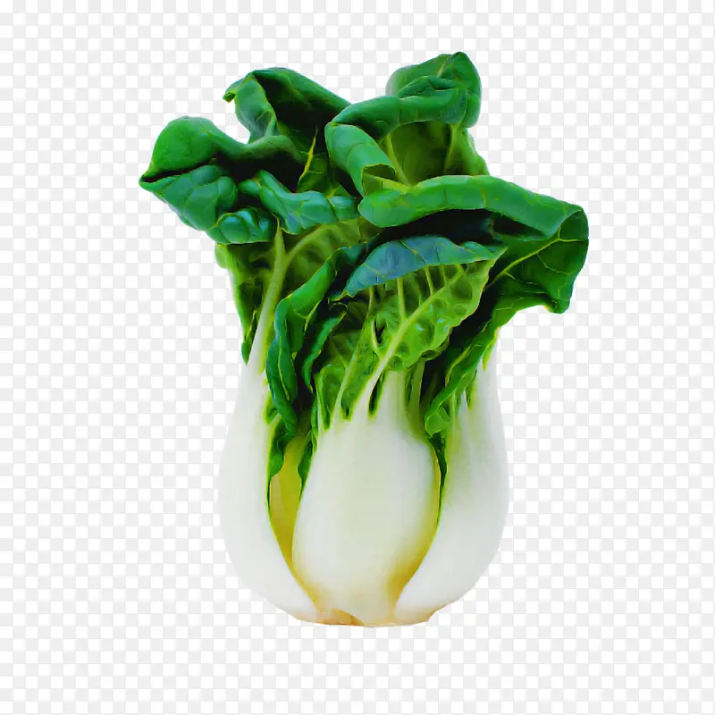 蔬菜 叶菜 绿色