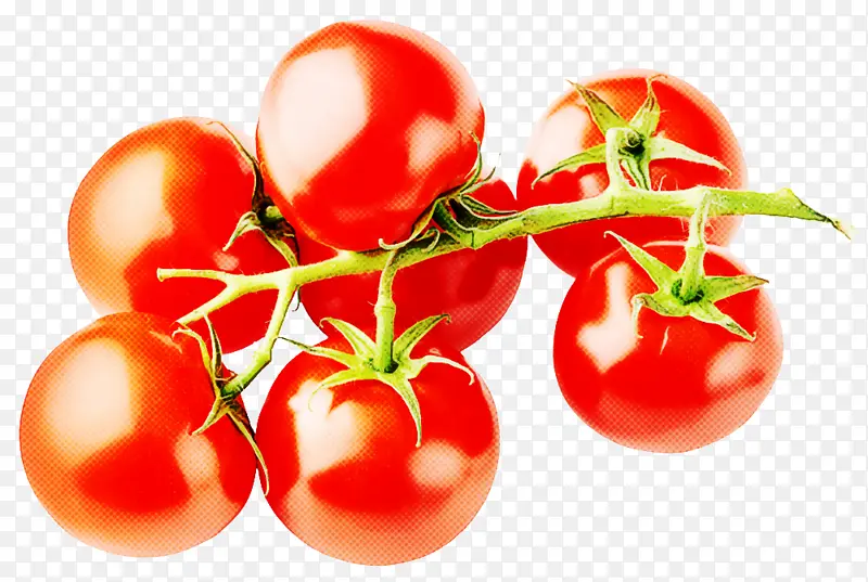 天然食品 水果 番茄