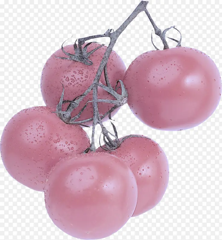 粉色 植物 水果