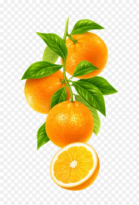 柑橘 克莱门汀 水果
