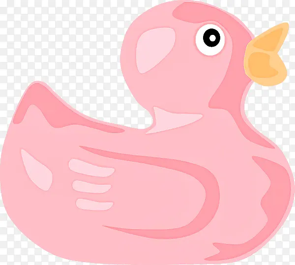 粉色 鸟 橡皮鸭