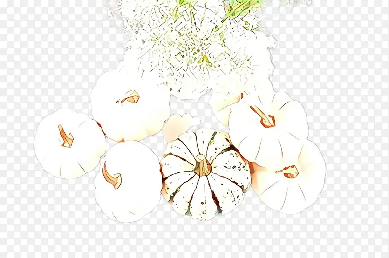 白色 植物 花