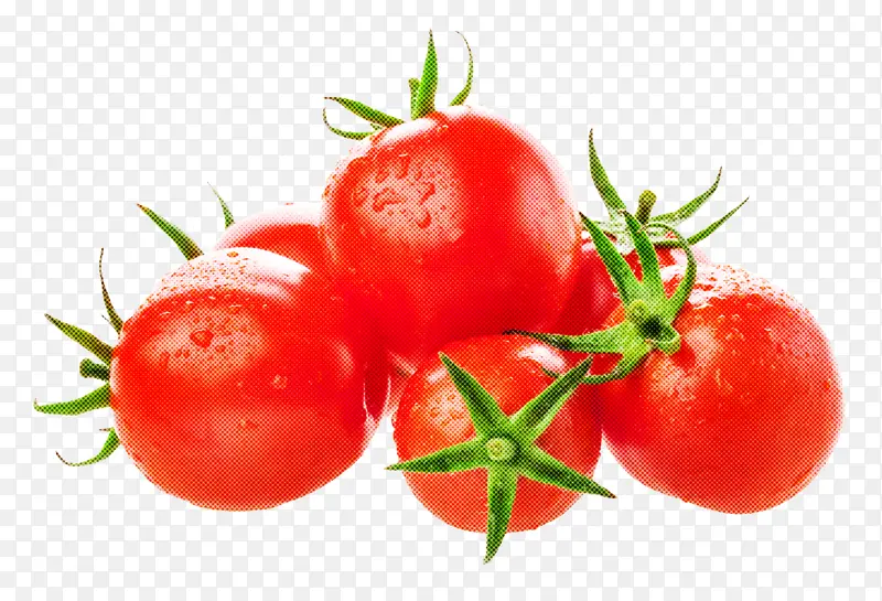 天然食品 番茄 水果