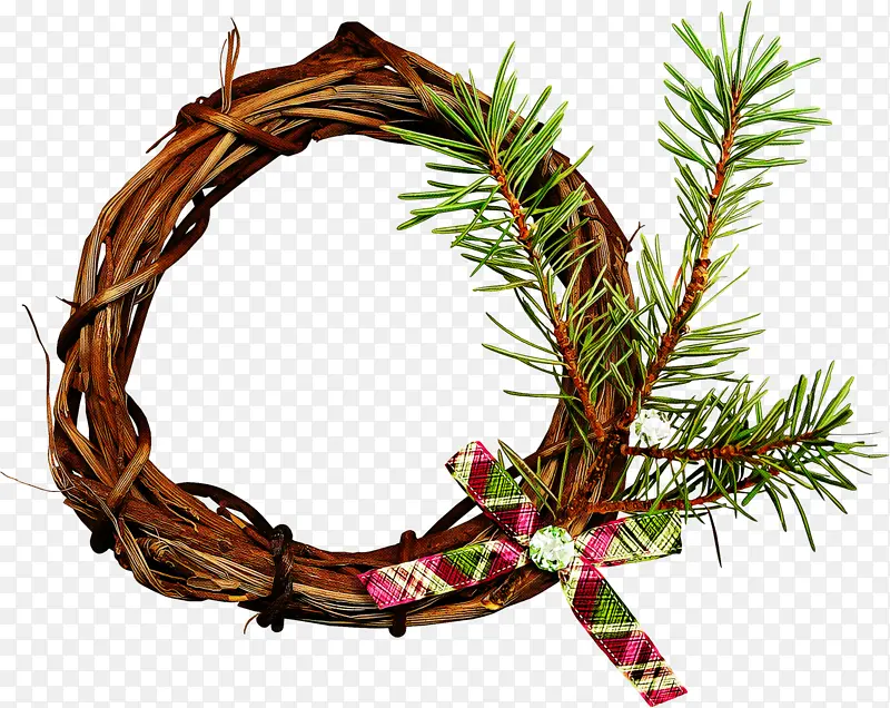 俄勒冈州松树 圣诞装饰 树枝