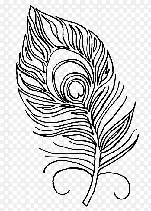 羽毛 线条艺术 叶子