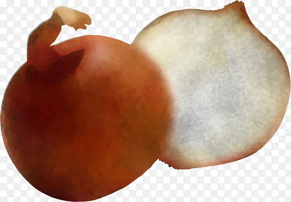 ้ฃ็ฉ ๆค็ฉ ๆฐดๆPNGๅพ็็ด ๆไธ่ฝฝ_ๅพ็็ผๅท6967510-PNG็ด ๆ็ฝ