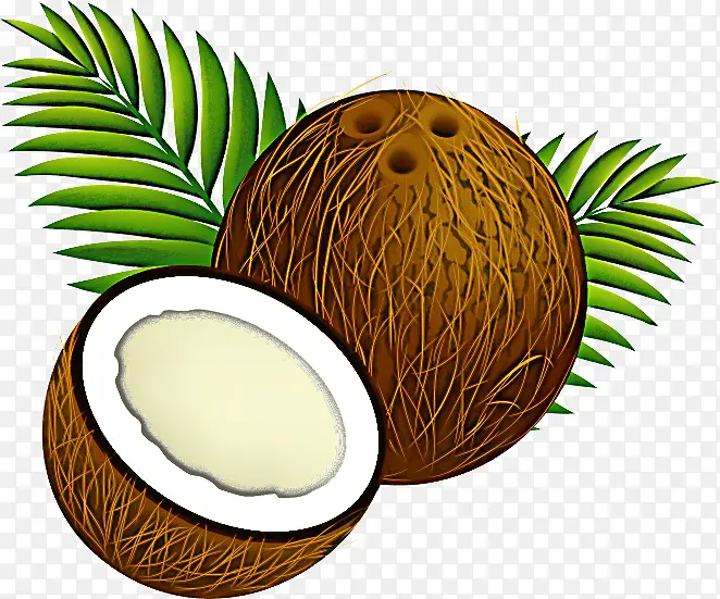 椰子 椰子树 棕榈树