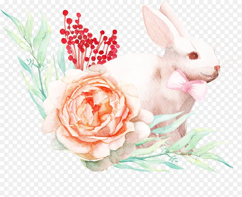 粉色 兔子 花