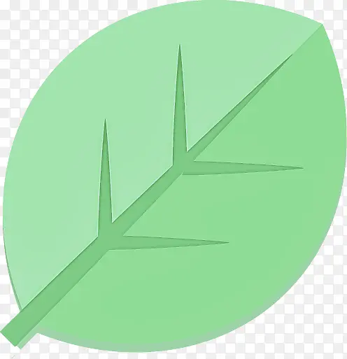 绿色 叶子 标志