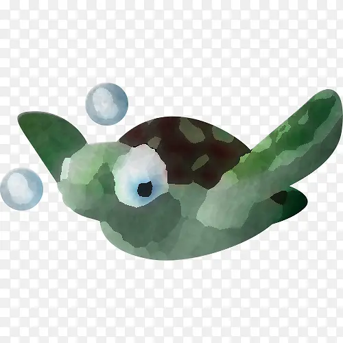 海龟 绿色 绿色海龟