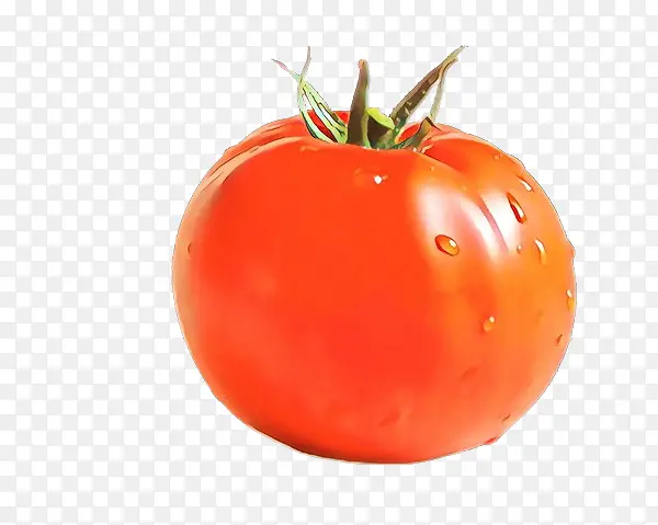 天然食品 番茄 茄