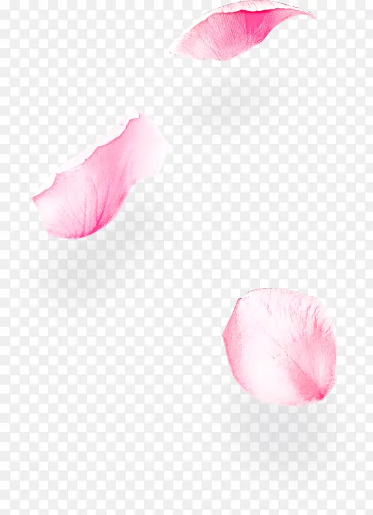 花瓣 粉色 花