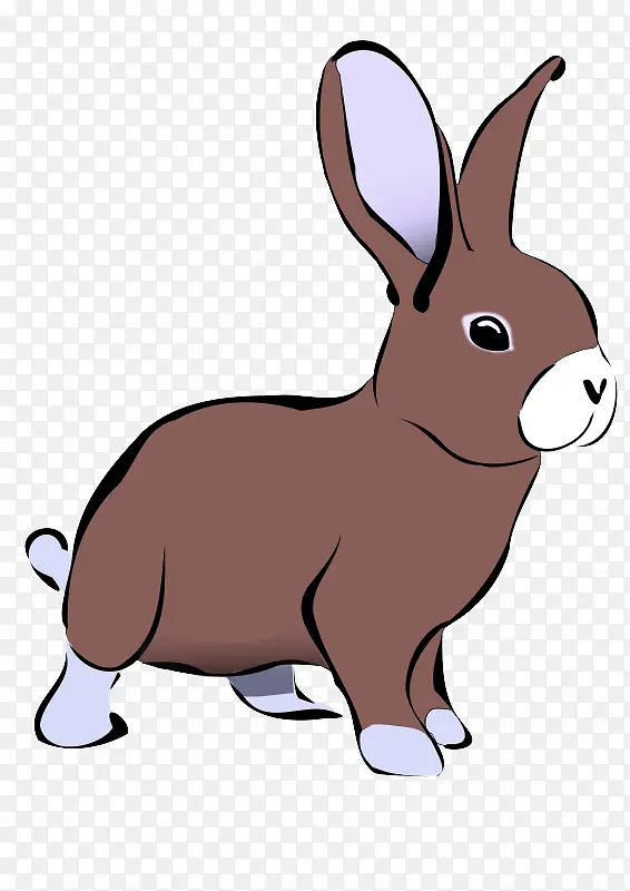 兔子 卡通 兔子和兔子