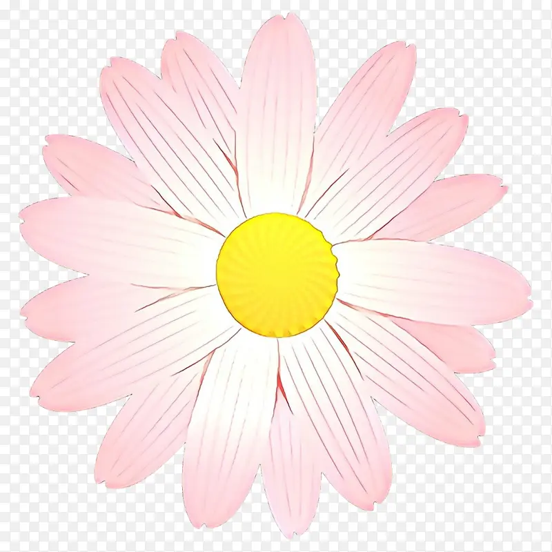 粉色 花瓣 花朵