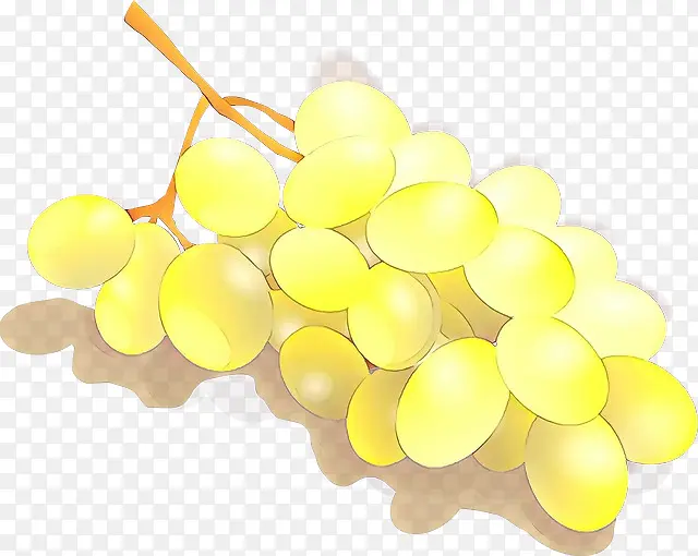 采购产品葡萄 葡萄科 黄色