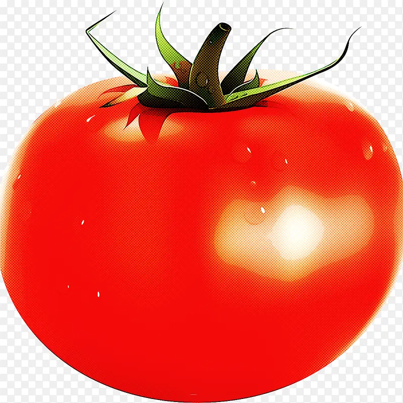 天然食品 番茄 茄属