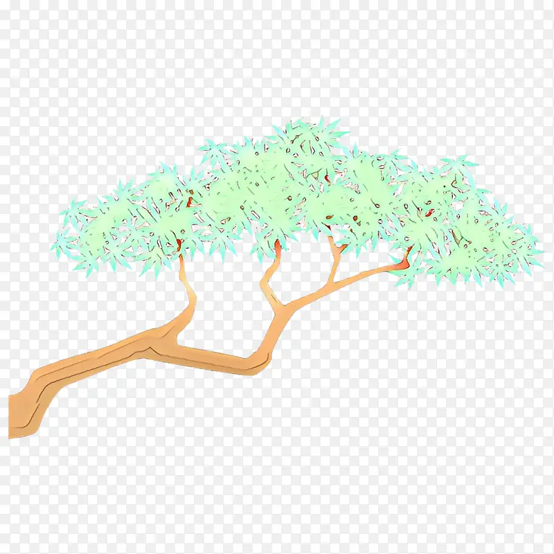 绿色 树 树枝