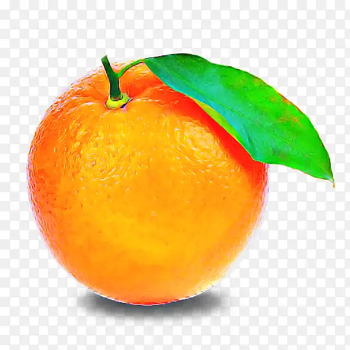 柑橘 水果 天然食品