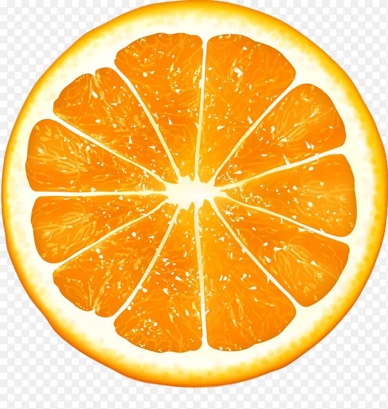 柑橘 朗普 水果