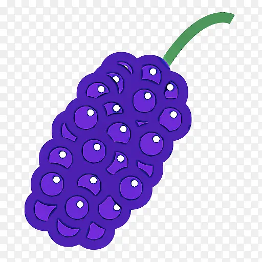 紫色 水果 植物