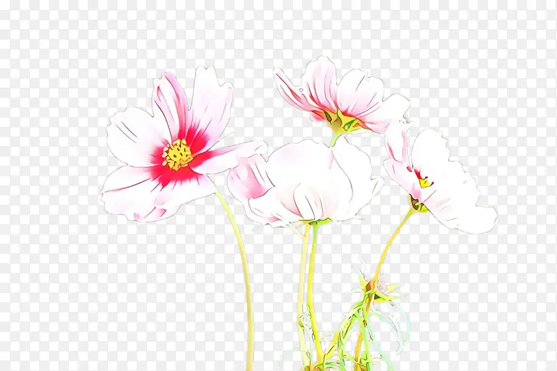 花 粉色 植物