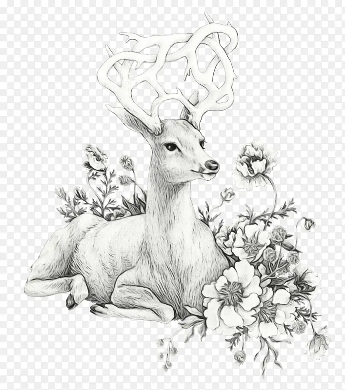水彩画 颜料 湿墨