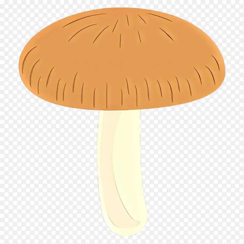 蘑菇 真菌 餐桌