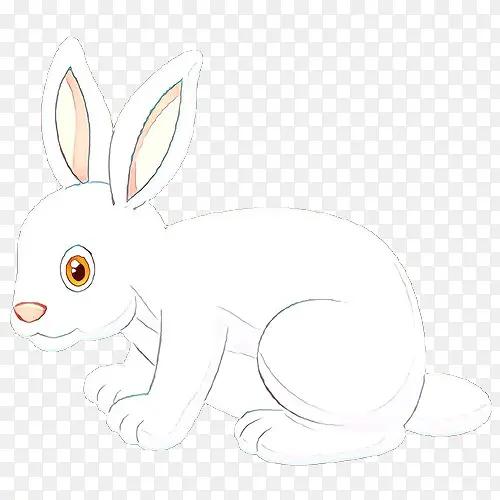 兔子 白色 兔子和兔子