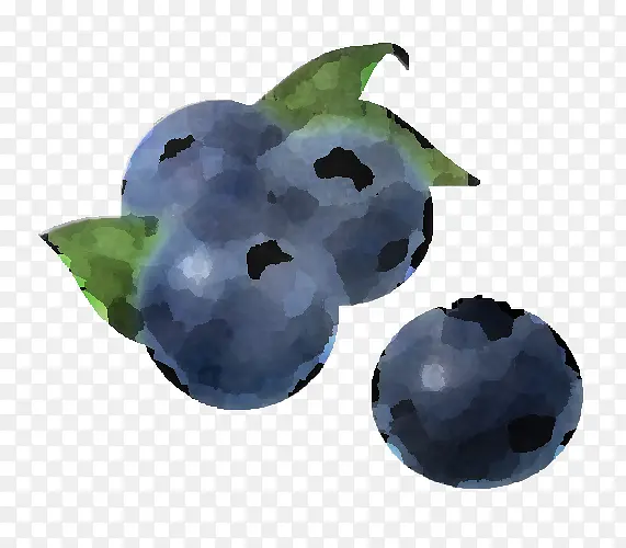 浆果 蓝莓 越桔