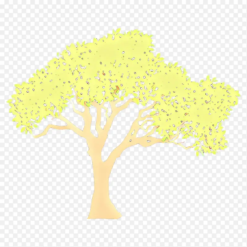 黄色 树木 木本植物