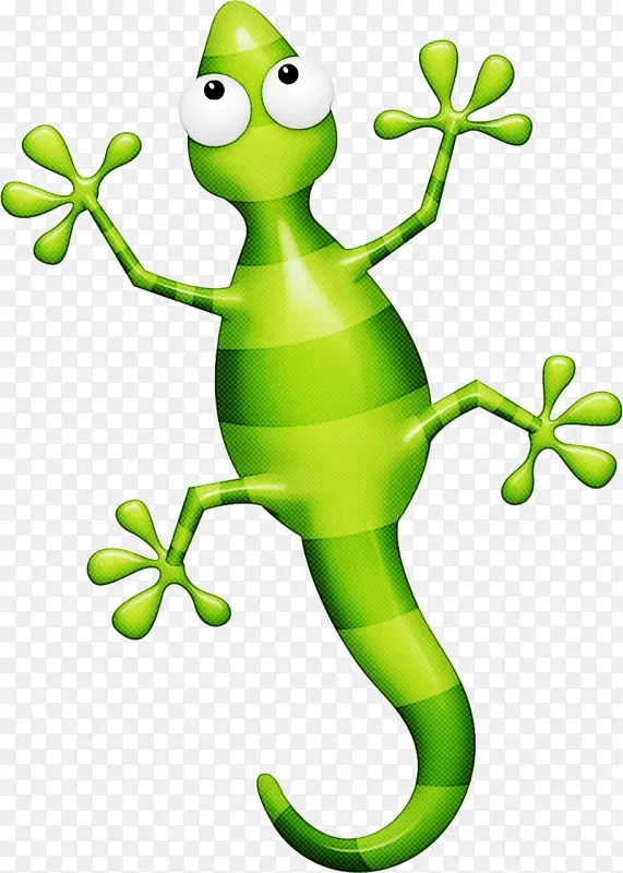 绿色 灌木蛙 壁虎