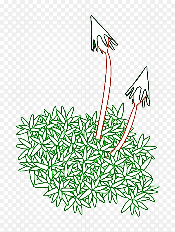 植物 草 线条艺术