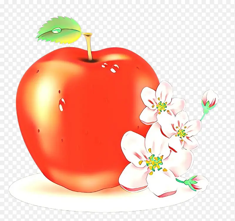 苹果 水果 植物