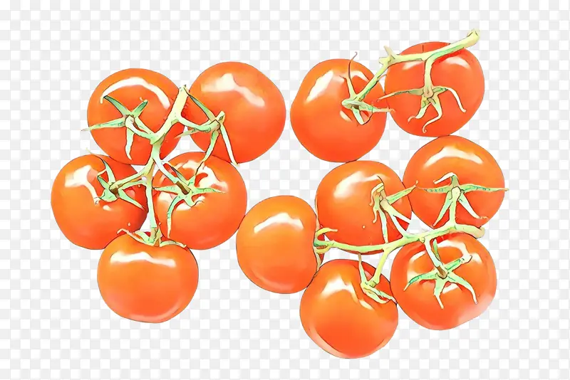 橙子 西红柿 茄