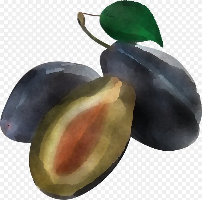 欧洲李子 树木 水果