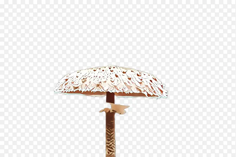 伞 灯 蘑菇