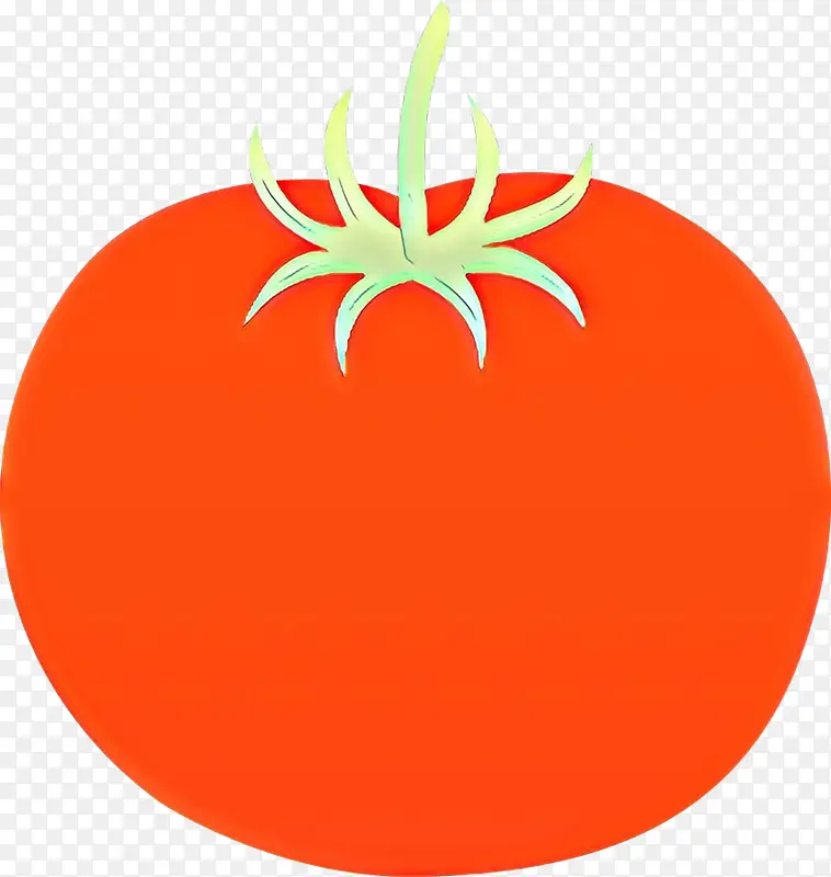 橙子 水果 番茄