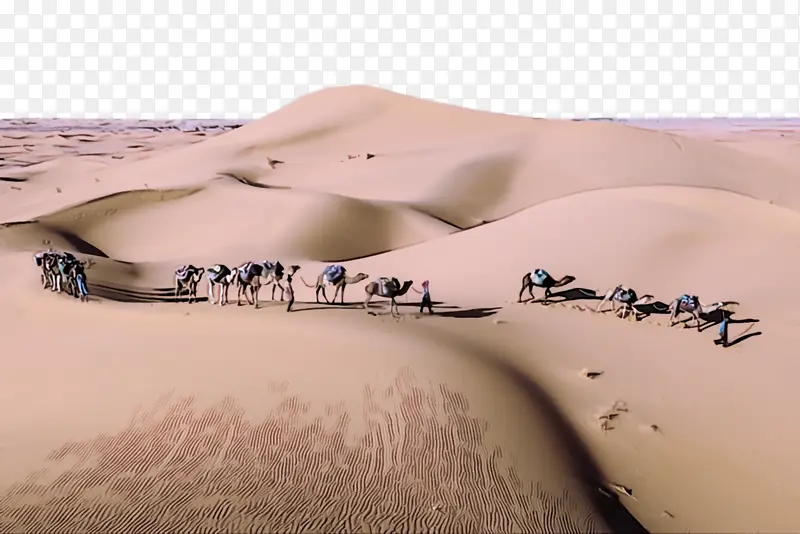 沙漠 沙子 自然环境