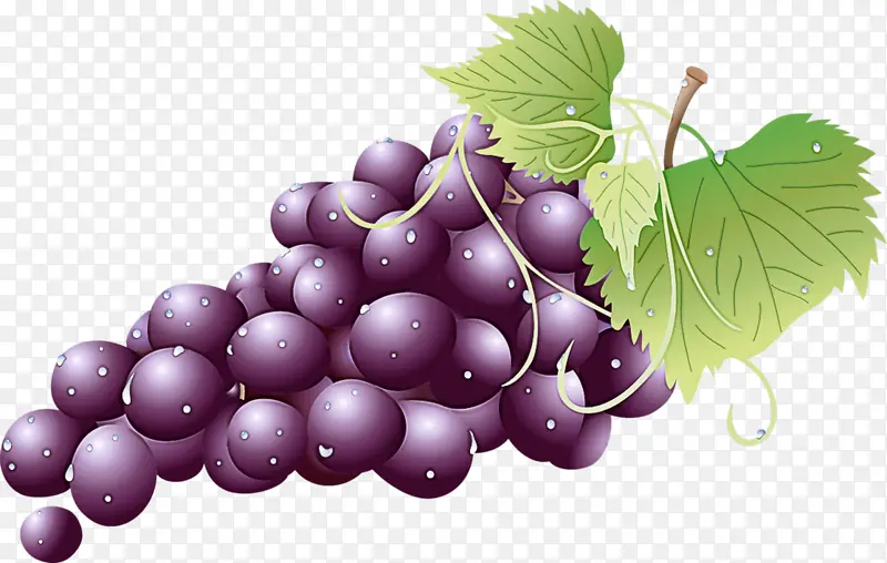 葡萄 葡萄叶 天然食品