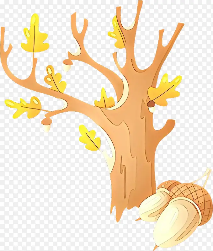 黄色 树 树枝