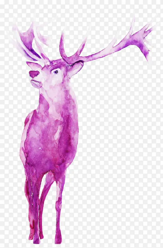 粉色 鹿 紫色