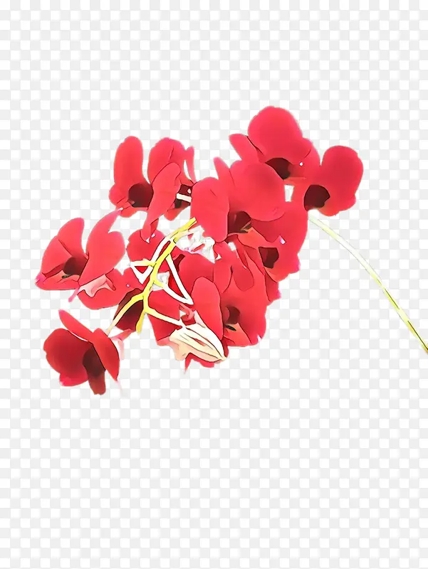 红色 花 花瓣