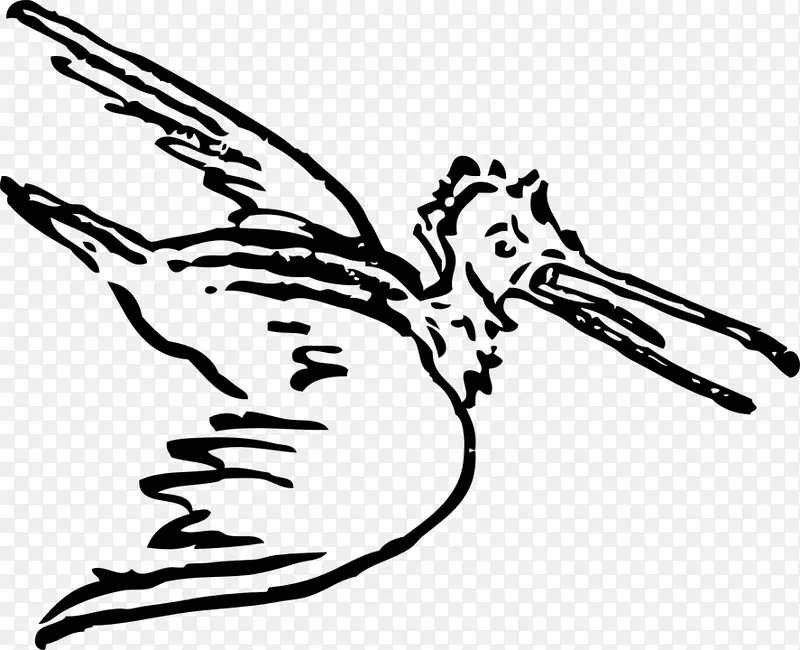 线条艺术 翅膀 鸟