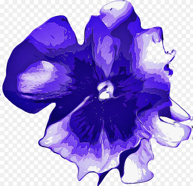 紫罗兰 紫色 蓝色