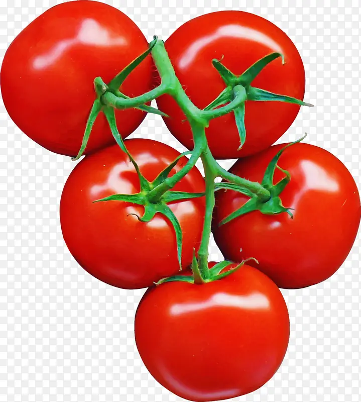 天然食品 灌木番茄 番茄